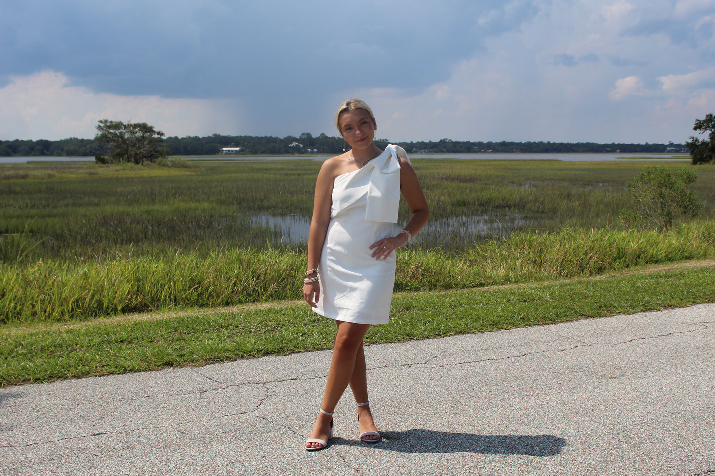 B is for Bow Dress