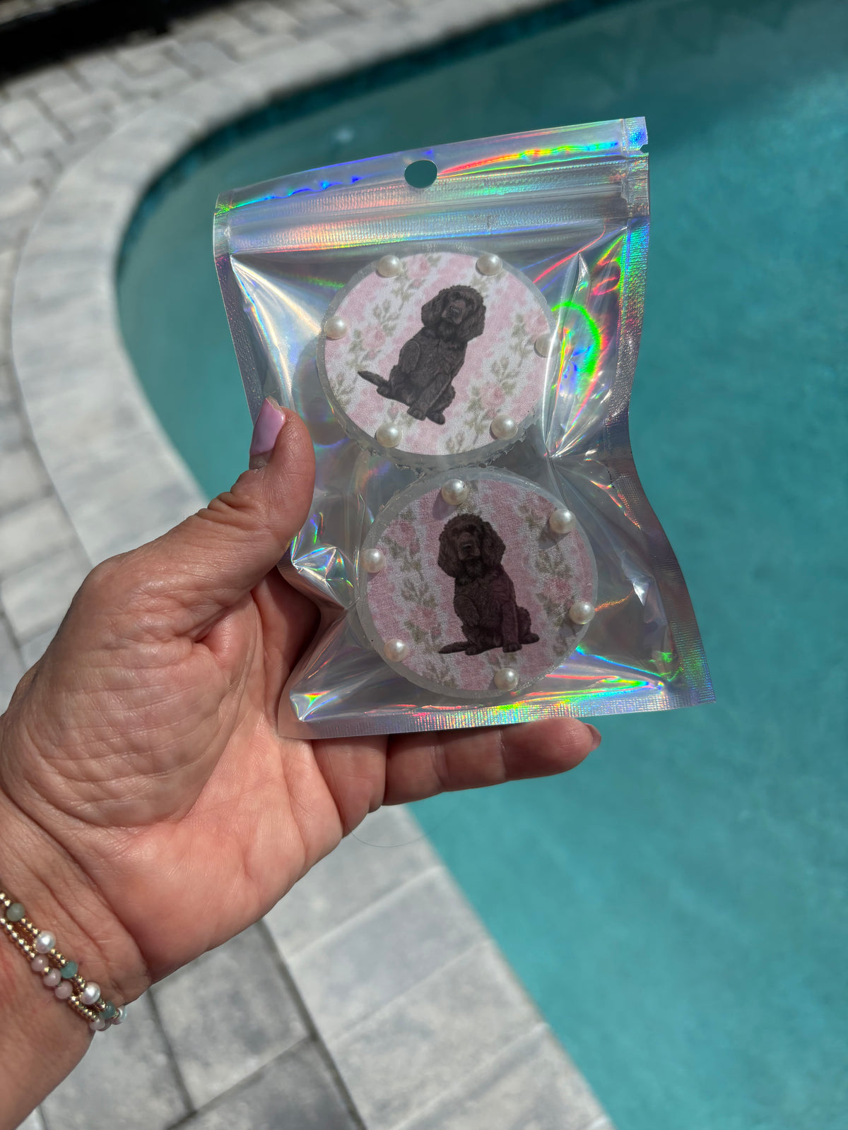 Baja Cactus Love Shack Boykin Spaniel Vent Clips