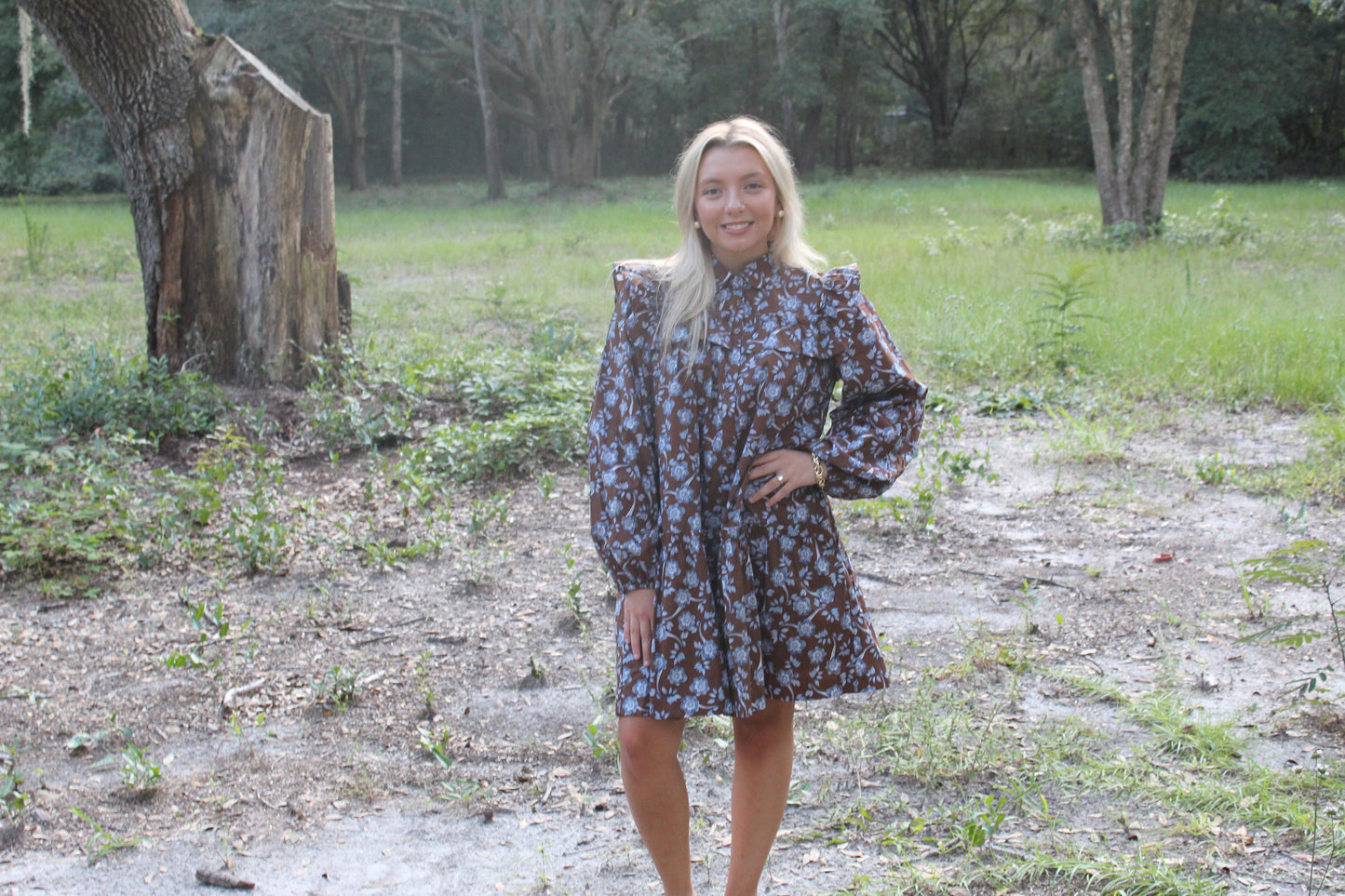 Fall Perfection Mini Dress