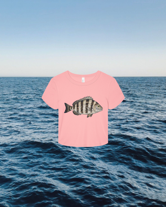 Preorder! Sheepshead Baby Tee