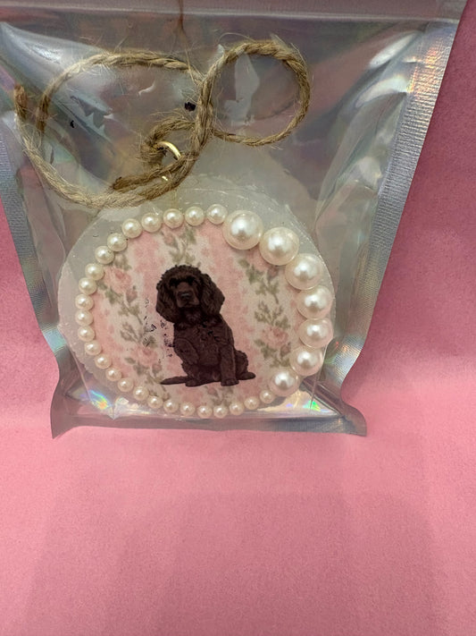 Baja Cactus Love Shack Boykin Spaniel Freshie