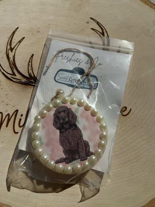 Amazing Grace Boykin Spaniel Freshie